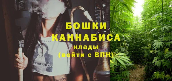 ешки Новозыбков