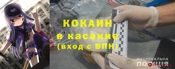 ешки Новозыбков